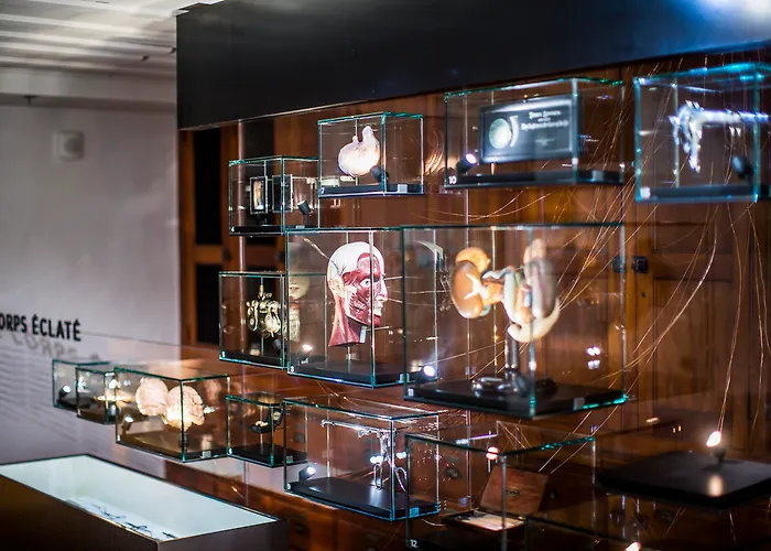 Monastere Des Augustines Hotel